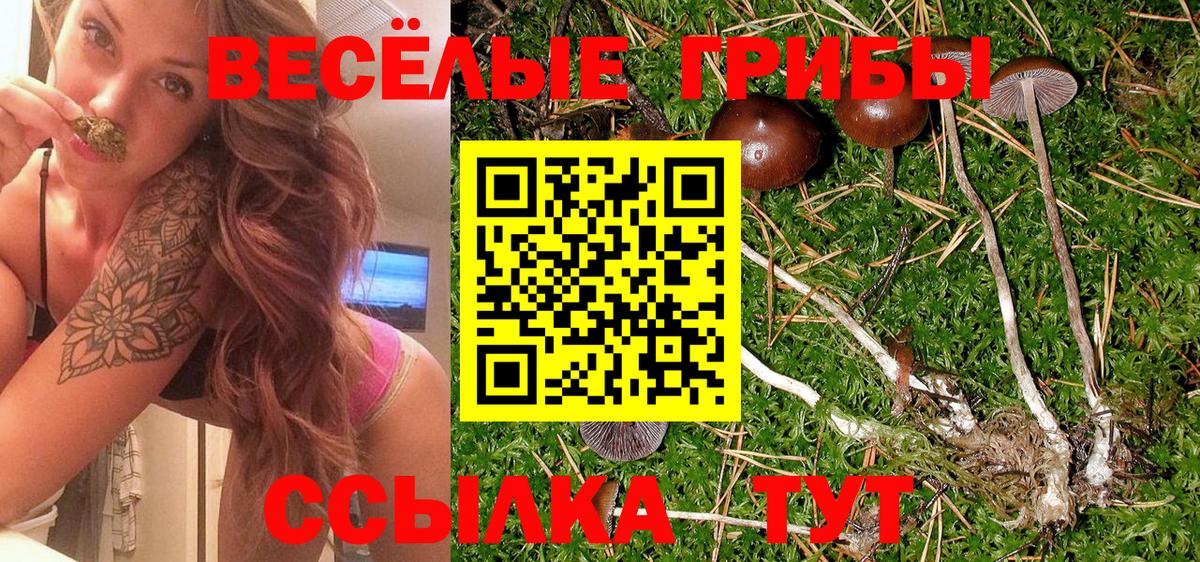 Моздок  Галлюциногенные грибы ЛСД  Вход с VPN 